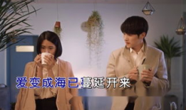 国语电视剧,穿越时空的情感之旅