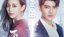 念念不忘电视剧,爱恨交织的情感纠葛