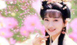 赵雅芝电视剧,经典剧集中的优雅传奇