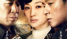 追击者电视剧,生死较量，正义与邪恶的终极对决